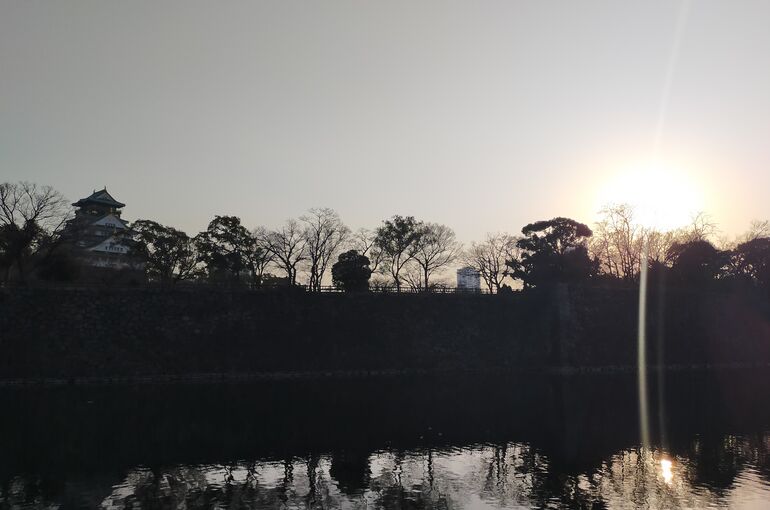 大阪城公園梅林